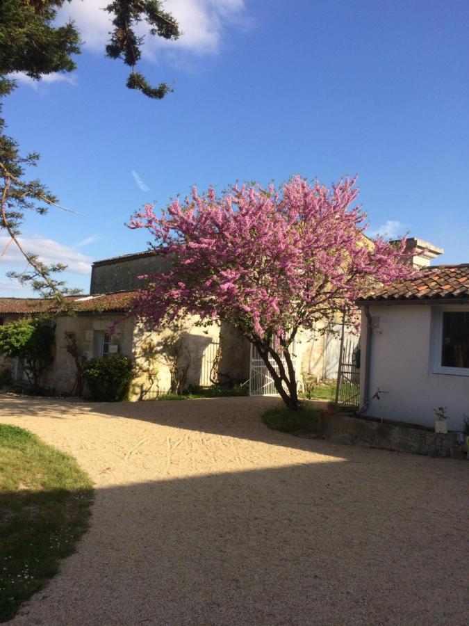 Le Logis Du Plessis Bed & Breakfast Chaniers Eksteriør bilde