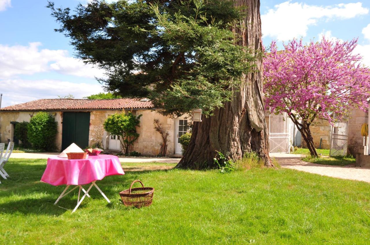 Le Logis Du Plessis Bed & Breakfast Chaniers Eksteriør bilde