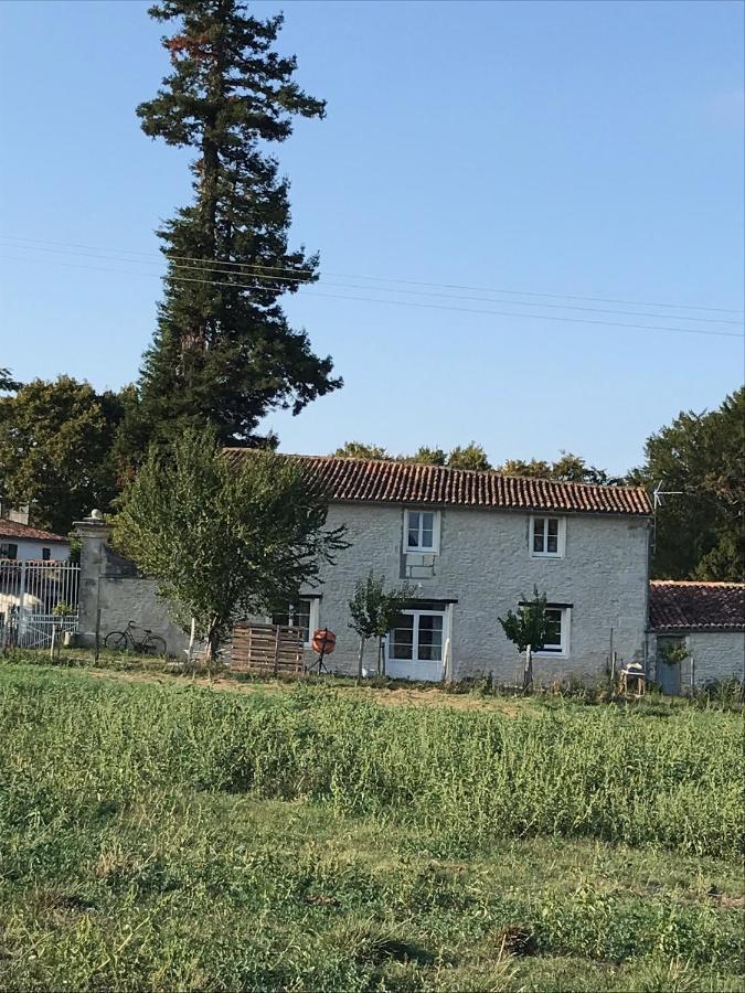 Le Logis Du Plessis Bed & Breakfast Chaniers Eksteriør bilde